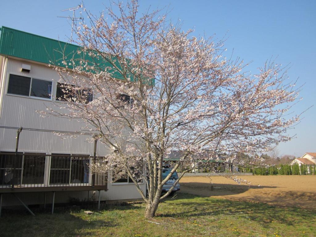 Narita Airport Hostel Shibayama Zewnętrze zdjęcie